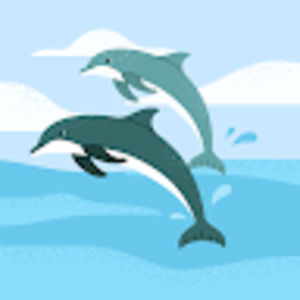 Meet your Posher, Elyse